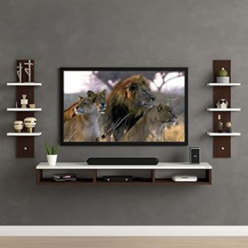 LUXENWOOD Engineered Wood TV Cabinet for Living Room